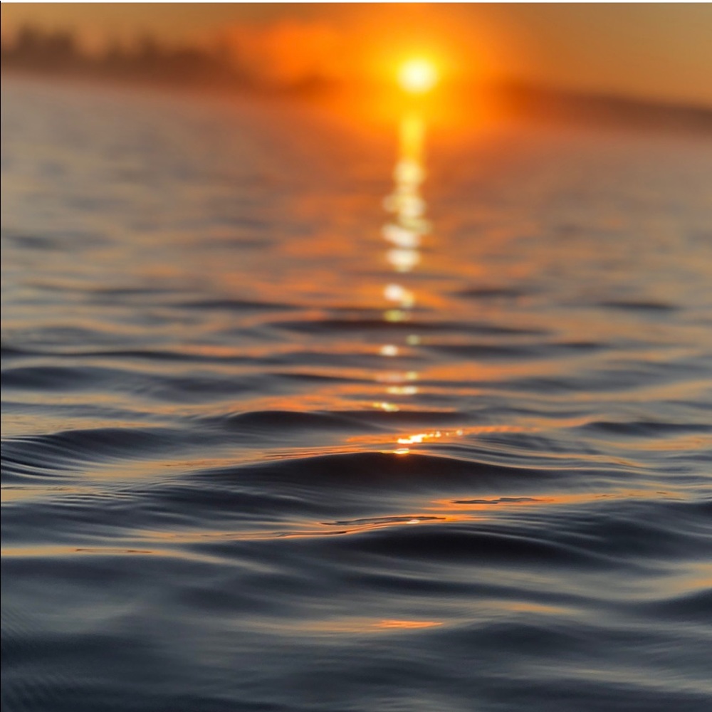 Meet your Posher, Savanna